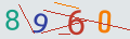 verifycode